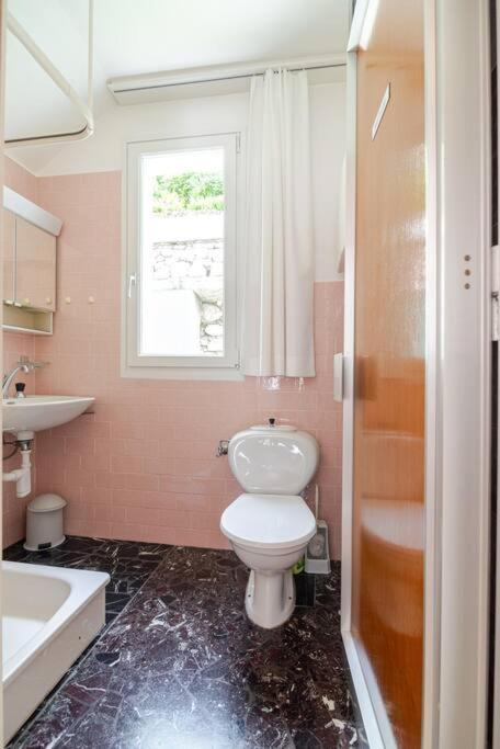 Con Piscina Privata A 100m Dal * Caslano